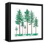 Vegetation Profile of a Boreal Forest. Biosphere, Earth Sciences-Encyclopaedia Britannica-Framed Stretched Canvas