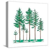 Vegetation Profile of a Boreal Forest. Biosphere, Earth Sciences-Encyclopaedia Britannica-Stretched Canvas