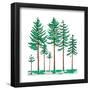 Vegetation Profile of a Boreal Forest. Biosphere, Earth Sciences-Encyclopaedia Britannica-Framed Poster