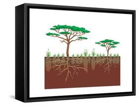 Vegetation Profile of a Savanna. Biosphere, Earth Sciences-Encyclopaedia Britannica-Framed Stretched Canvas