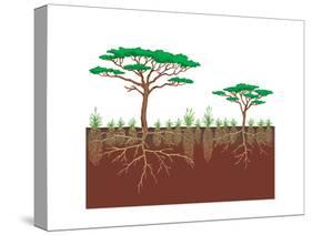 Vegetation Profile of a Savanna. Biosphere, Earth Sciences-Encyclopaedia Britannica-Stretched Canvas