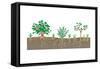 Vegetation Profile of a Scrubland. Biosphere, Earth Sciences-Encyclopaedia Britannica-Framed Stretched Canvas