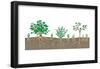 Vegetation Profile of a Scrubland. Biosphere, Earth Sciences-Encyclopaedia Britannica-Framed Poster