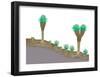 Vegetation Profile of Tropical Mountain Lands. Biosphere, Earth Sciences-Encyclopaedia Britannica-Framed Poster