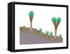 Vegetation Profile of Tropical Mountain Lands. Biosphere, Earth Sciences-Encyclopaedia Britannica-Framed Stretched Canvas