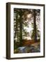 Vegetation, shore, lake, Lelång, Dalsland, Sweden-Andrea Lang-Framed Photographic Print