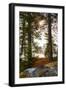 Vegetation, shore, lake, Lelång, Dalsland, Sweden-Andrea Lang-Framed Photographic Print