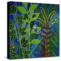 Vegetation-Tamas Galambos-Stretched Canvas