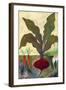 Veggie Garden II-Mehmet Altug-Framed Art Print