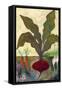 Veggie Garden II-Mehmet Altug-Framed Stretched Canvas