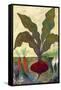 Veggie Garden II-Mehmet Altug-Framed Stretched Canvas