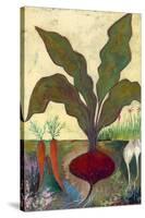 Veggie Garden II-Mehmet Altug-Stretched Canvas