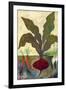 Veggie Garden II-Mehmet Altug-Framed Art Print