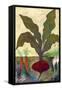 Veggie Garden II-Mehmet Altug-Framed Stretched Canvas