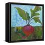 Veggie Garden III-Mehmet Altug-Framed Stretched Canvas