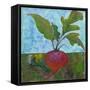 Veggie Garden III-Mehmet Altug-Framed Stretched Canvas