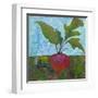 Veggie Garden III-Mehmet Altug-Framed Art Print