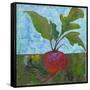 Veggie Garden III-Mehmet Altug-Framed Stretched Canvas