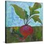 Veggie Garden III-Mehmet Altug-Stretched Canvas