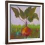 Veggie Garden IV-Mehmet Altug-Framed Art Print