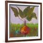 Veggie Garden IV-Mehmet Altug-Framed Art Print