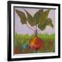 Veggie Garden IV-Mehmet Altug-Framed Art Print