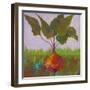 Veggie Garden IV-Mehmet Altug-Framed Art Print