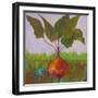 Veggie Garden IV-Mehmet Altug-Framed Art Print