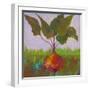 Veggie Garden IV-Mehmet Altug-Framed Art Print