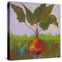 Veggie Garden IV-Mehmet Altug-Stretched Canvas