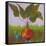 Veggie Garden IV-Mehmet Altug-Framed Stretched Canvas