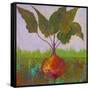 Veggie Garden IV-Mehmet Altug-Framed Stretched Canvas