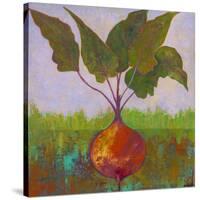 Veggie Garden IV-Mehmet Altug-Stretched Canvas
