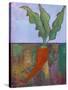 Veggie Garden VII-Mehmet Altug-Stretched Canvas