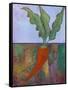 Veggie Garden VII-Mehmet Altug-Framed Stretched Canvas