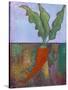Veggie Garden VII-Mehmet Altug-Stretched Canvas