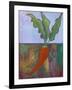 Veggie Garden VII-Mehmet Altug-Framed Art Print