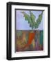 Veggie Garden VII-Mehmet Altug-Framed Art Print