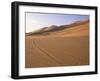 Vehicle Tracks and Sand Dunes, Erg Murzuq, Sahara Desert, Fezzan, Libya, North Africa, Africa-Sergio Pitamitz-Framed Photographic Print