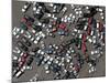 Vehicles Damaged by Hurricane Katrina-null-Mounted Photographic Print