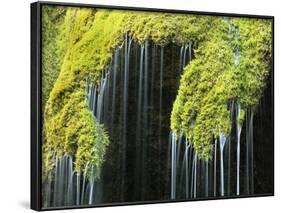 Veil Fall Water Cascading Down Sinter Deposits-null-Framed Photographic Print