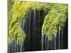 Veil Fall Water Cascading Down Sinter Deposits-null-Mounted Photographic Print