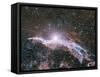 Veil Nebula Supernova Remnant-Davide De Martin-Framed Stretched Canvas