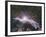 Veil Nebula Supernova Remnant-Davide De Martin-Framed Photographic Print