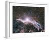 Veil Nebula Supernova Remnant-Davide De Martin-Framed Photographic Print