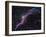 Veil Nebula-Stocktrek Images-Framed Premium Photographic Print