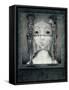 Veil of Sadness-Wayne Anderson-Framed Stretched Canvas