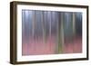 Veil the Light-Jacob Berghoef-Framed Photographic Print