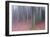 Veil the Light-Jacob Berghoef-Framed Photographic Print