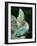 Veiled Chameleon, Native to Yemen-David Northcott-Framed Photographic Print